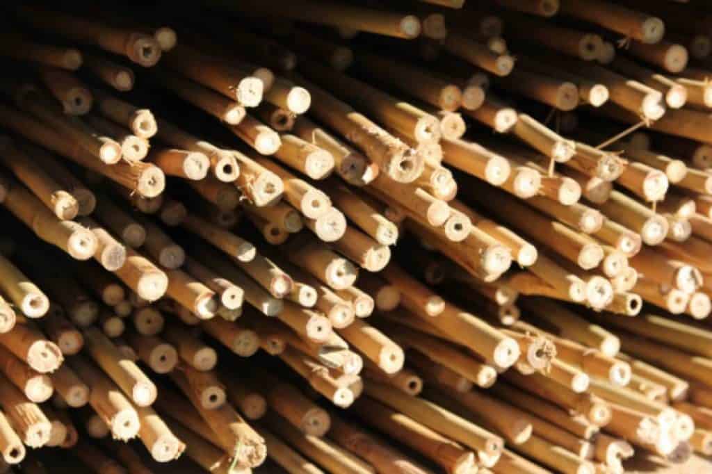 Buitenpret-activiteit-bamboe bouwen 2